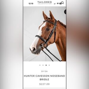 Brown Hunter Cavesson Bridle